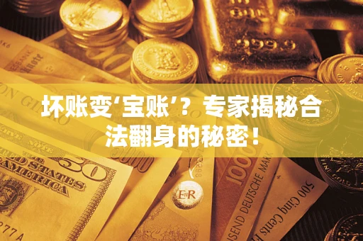 北京坏账变‘宝账’？专家揭秘合法翻身的秘密！