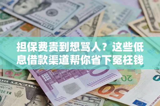 北京担保费贵到想骂人？这些低息借款渠道帮你省下冤枉钱