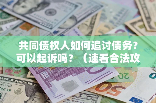 北京共同债权人如何追讨债务？可以起诉吗？（速看合法攻略）