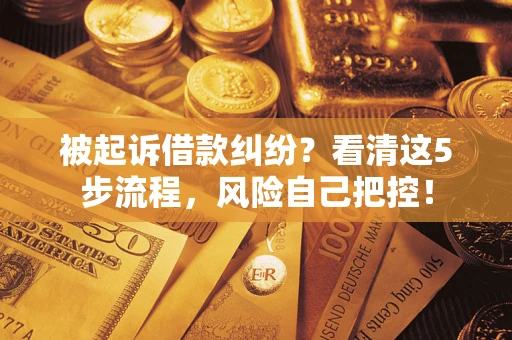 北京被起诉借款纠纷？看清这5步流程，风险自己把控！